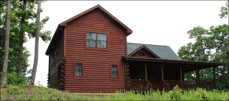 Professional Log Home Borate Application  Wheeler County, Georgia